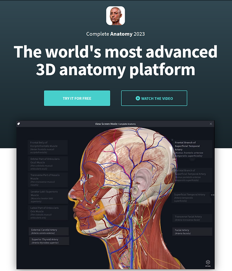 Web 3d Anatomy tool